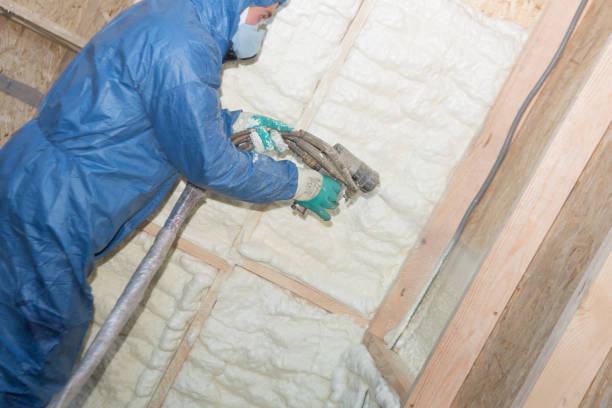 Types of Insulation We Offer in Bushland, TX